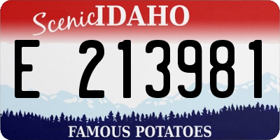 ID license plate E213981