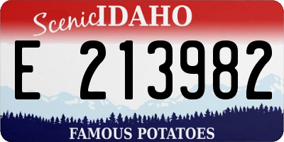 ID license plate E213982