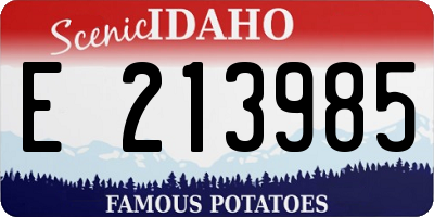 ID license plate E213985