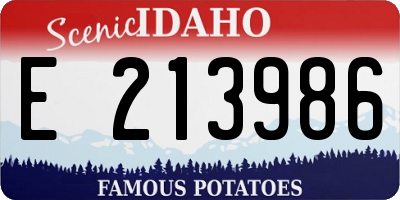 ID license plate E213986