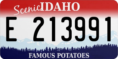 ID license plate E213991