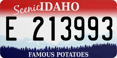 ID license plate E213993