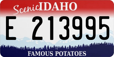 ID license plate E213995