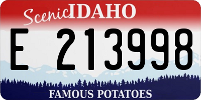 ID license plate E213998