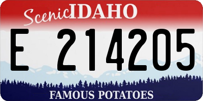 ID license plate E214205
