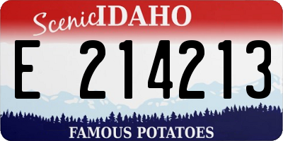 ID license plate E214213