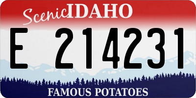 ID license plate E214231