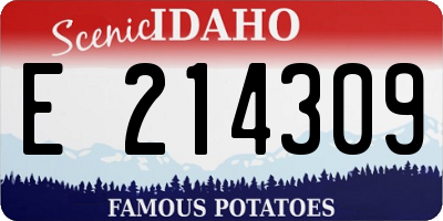 ID license plate E214309