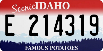 ID license plate E214319