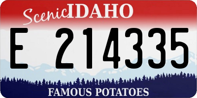ID license plate E214335