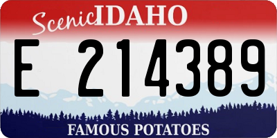 ID license plate E214389