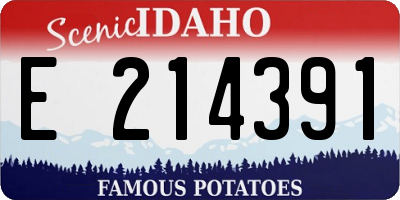 ID license plate E214391