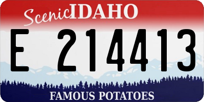 ID license plate E214413