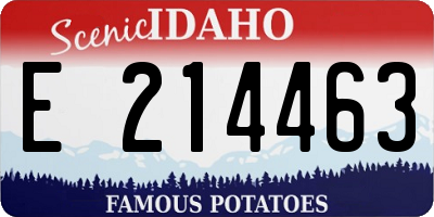 ID license plate E214463