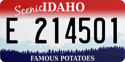 ID license plate E214501