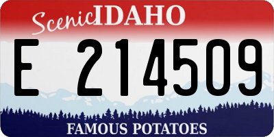 ID license plate E214509