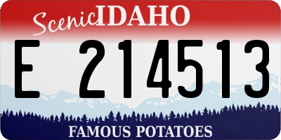 ID license plate E214513