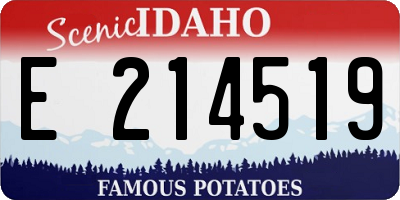 ID license plate E214519