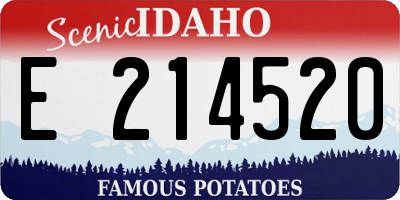 ID license plate E214520