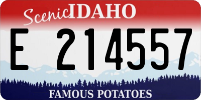 ID license plate E214557