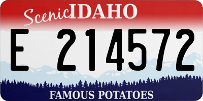 ID license plate E214572