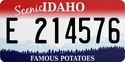 ID license plate E214576