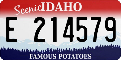 ID license plate E214579