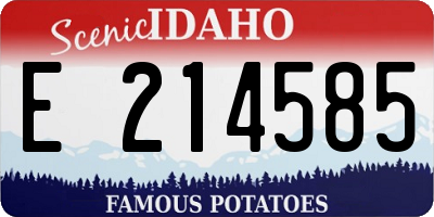 ID license plate E214585