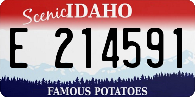 ID license plate E214591