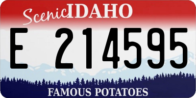 ID license plate E214595