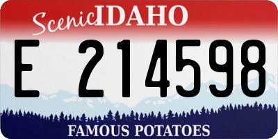 ID license plate E214598