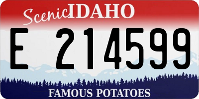 ID license plate E214599