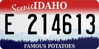 ID license plate E214613