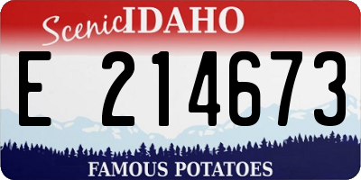 ID license plate E214673