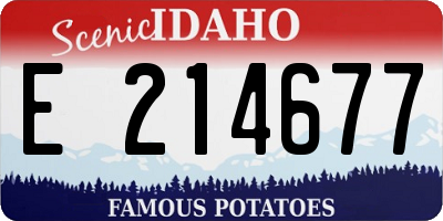 ID license plate E214677