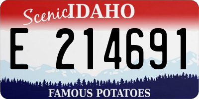 ID license plate E214691