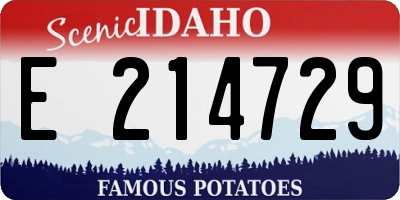 ID license plate E214729