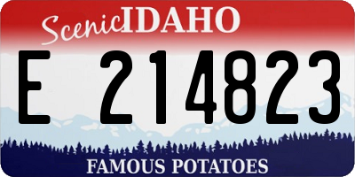 ID license plate E214823