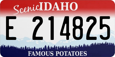 ID license plate E214825