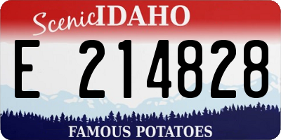 ID license plate E214828