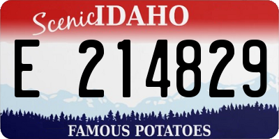 ID license plate E214829