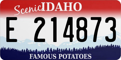ID license plate E214873
