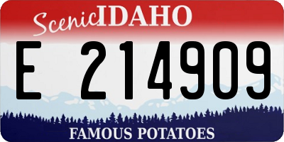 ID license plate E214909