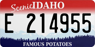ID license plate E214955
