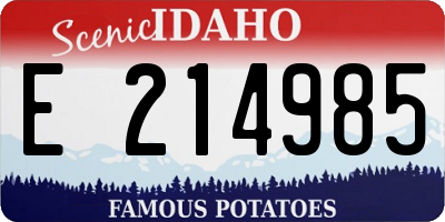 ID license plate E214985