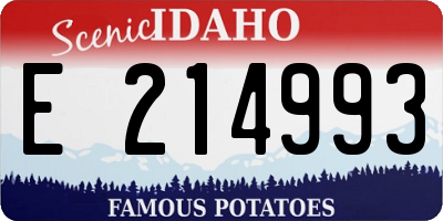 ID license plate E214993