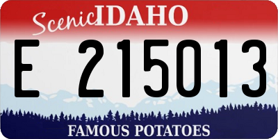 ID license plate E215013