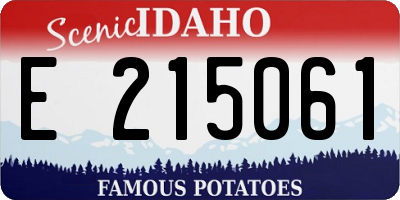 ID license plate E215061
