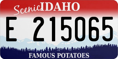 ID license plate E215065
