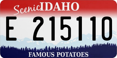 ID license plate E215110